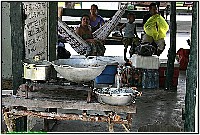 Plonsen - nr. 0068